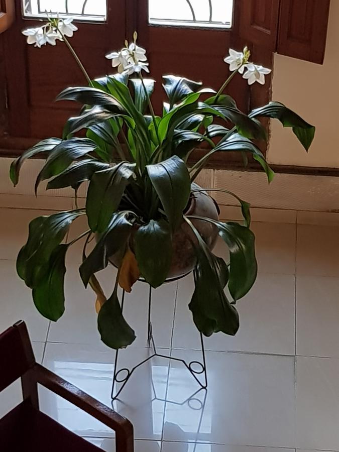Hotel Napoleon Jesus Maria Zewnętrze zdjęcie